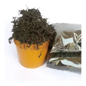 Bitter Leaves